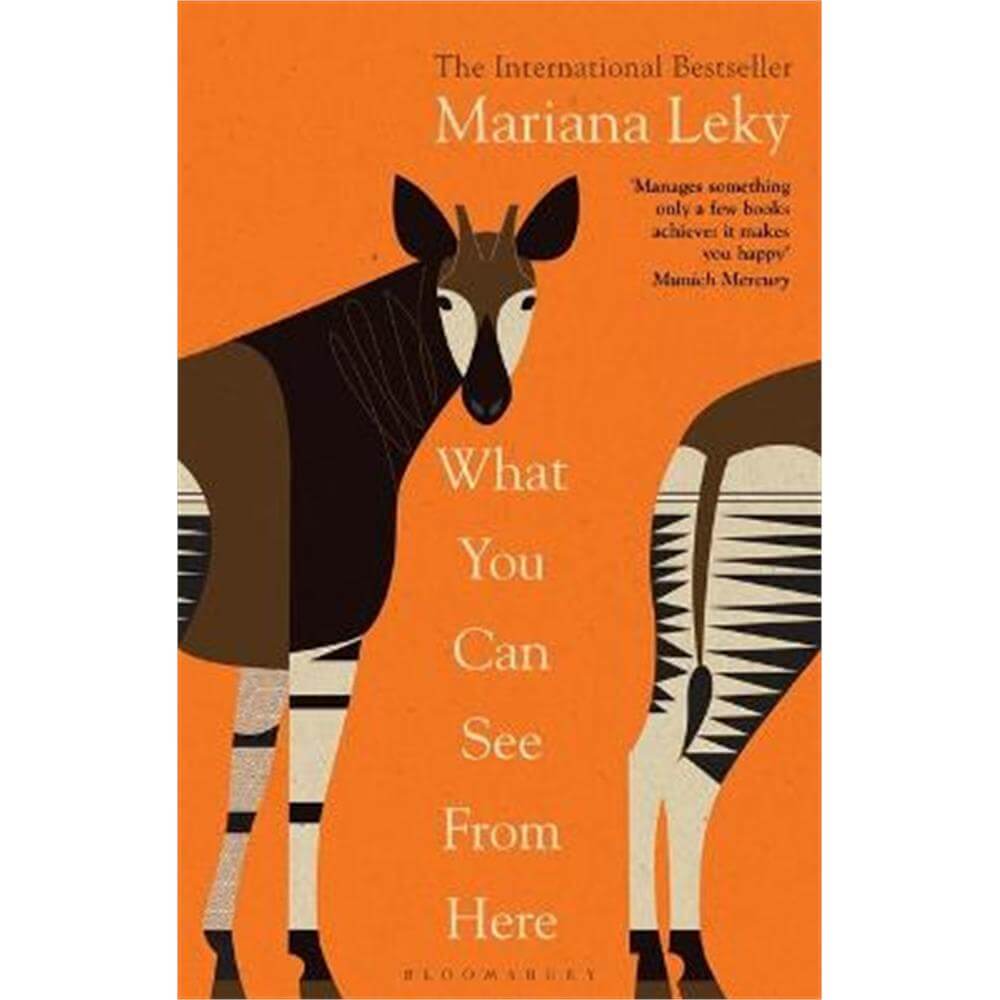 What You Can See From Here: The International Bestseller translated by Tess Lewis (Paperback) - Mariana Leky